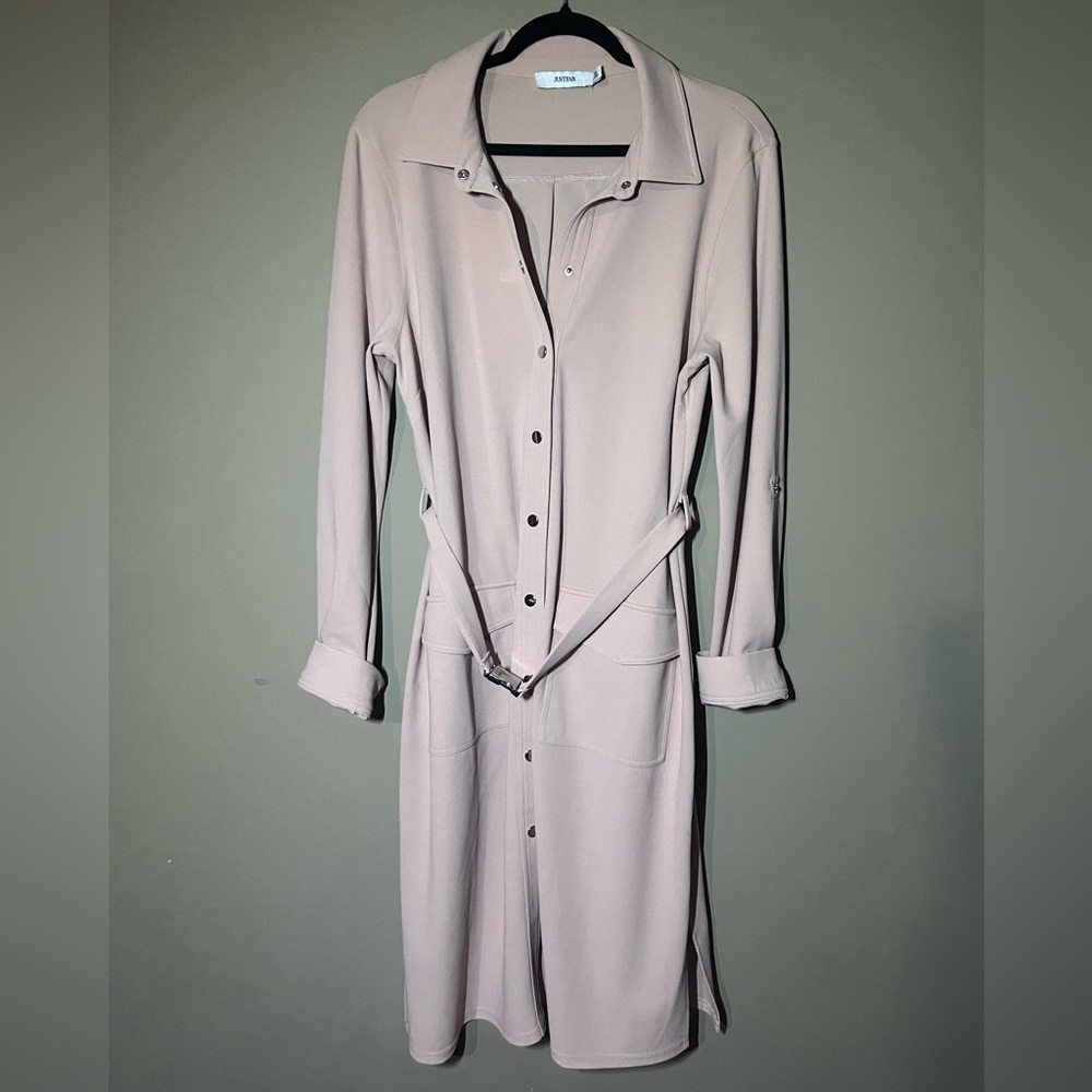 JustFab Blush Long Sleeve Dress